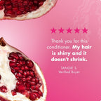 Pomegranate & Honey Leave-In Conditioner